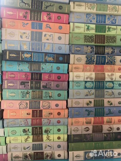 Бмлд, 54 книги