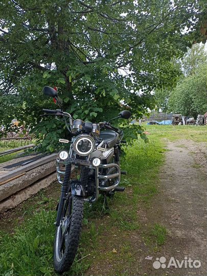 Alpha Motolend Rx 11