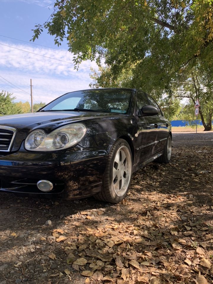 Hyundai Sonata: фото владельца