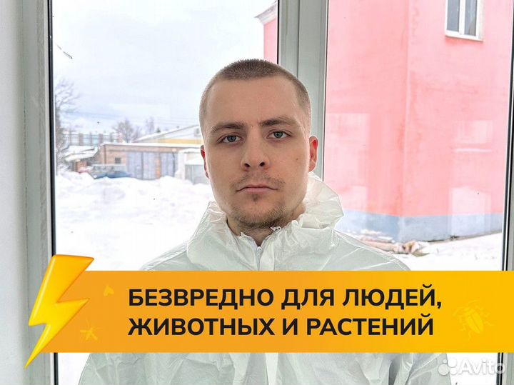 Дезинфекция / обработка от тараканов, клопов