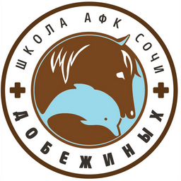 Школа АФК Добежиных