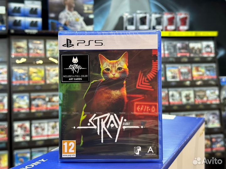 Stray PS5