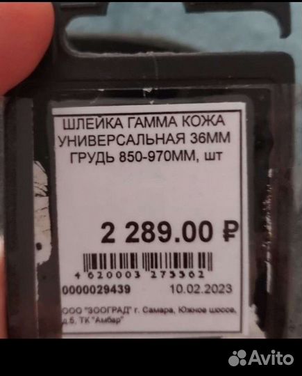 Шлейка для собаки