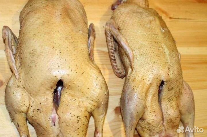 Мясо утки домашнее