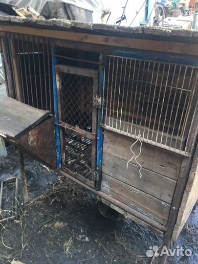 Клетка для кролика большая