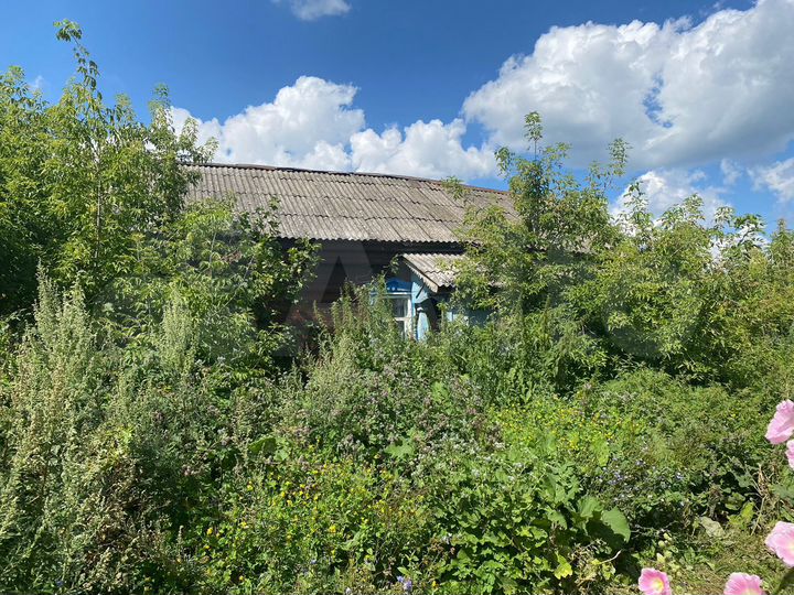 Дом 30 м² на участке 20 сот.