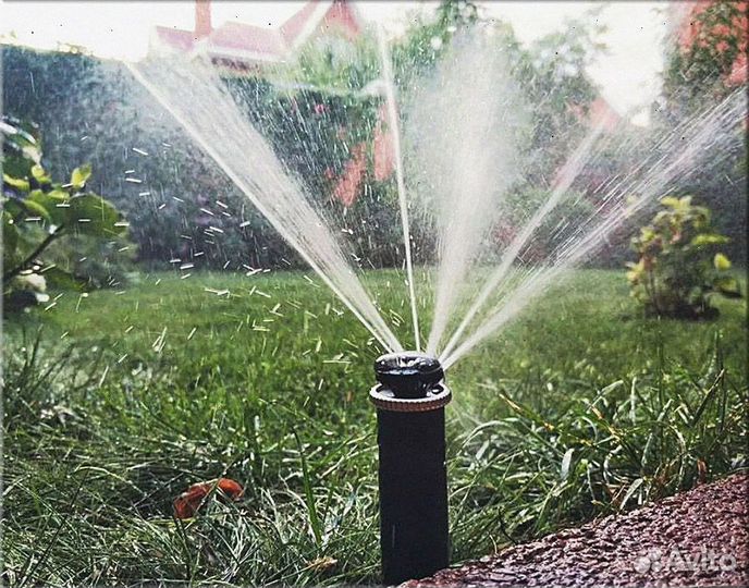 Автополив газона, озеленение