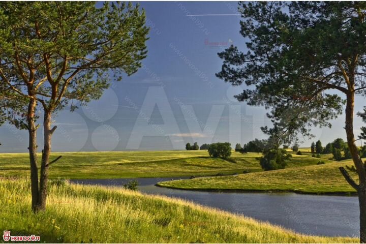 Участок 10 сот. (СНТ, ДНП)