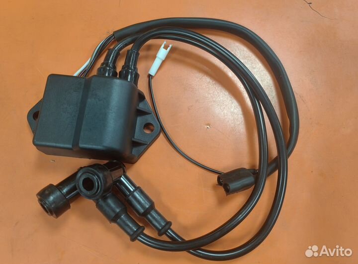 Эбу в сборе с катушкой зажигания Polaris