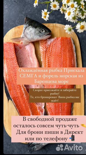 Семга