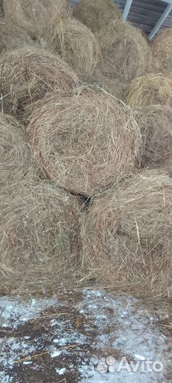 Сено для коров и коз 300 кг