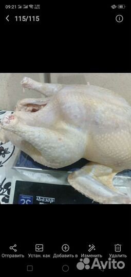 Мясо индейки