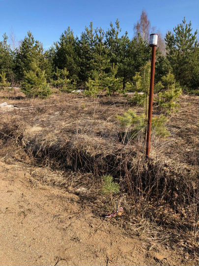 Участок 18 сот. (СНТ, ДНП)