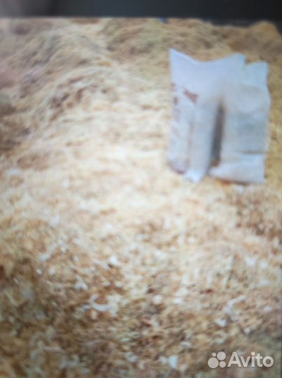 Стружка/опилки хвойных пород фасованные в мешках
