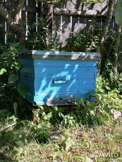 Улей для пчел