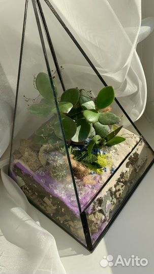 Флорариум в подарок для преподавателя