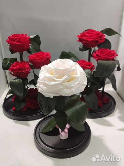 Роза в колбе