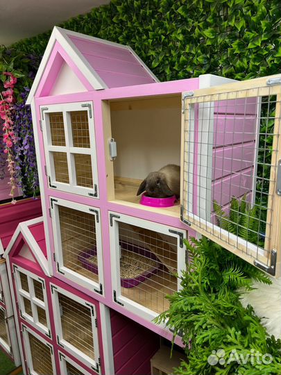 Царские кролики мини