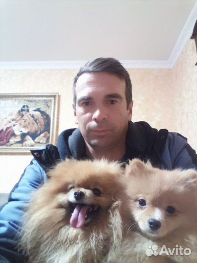 Отделочник