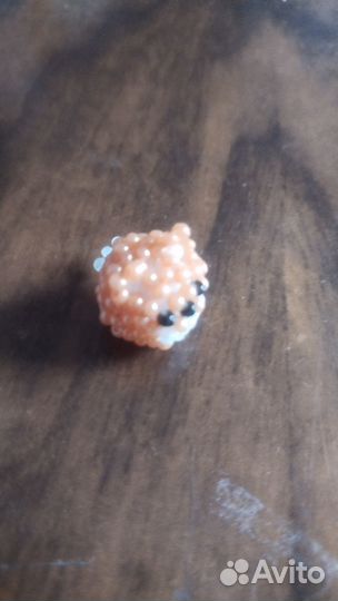 Кругляш Лисичка