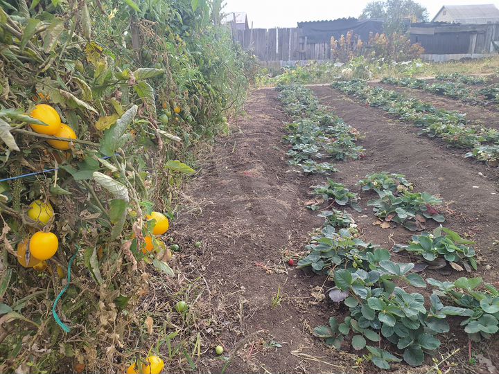 Комната 15 м² в 1-к., 1/2 эт.