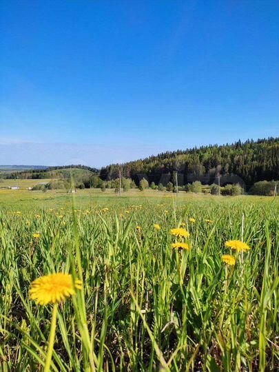 Участок 16 сот. (ИЖС)