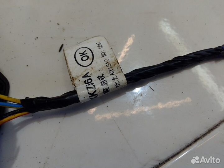 Электропроводка двери задняя левая (Haval H6)