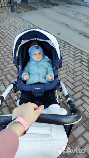 Коляска адамекс 2 в 1