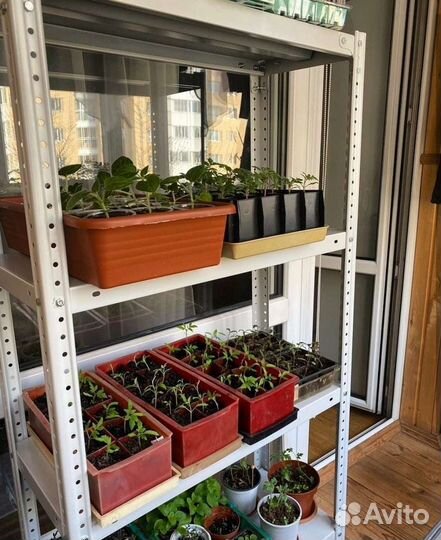 Стеллаж для рассады, цветов, теплицы, микрозелени
