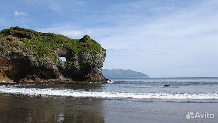 Трансфер по острову (гид с ружьем)