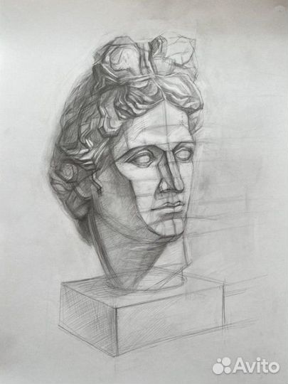 Студенческие работы. Рисунок и живопись