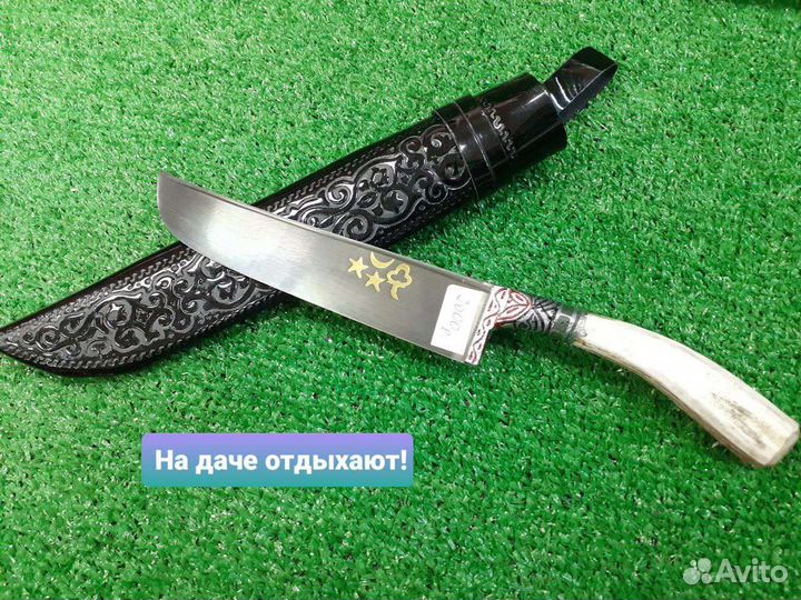 Пчак Рог оленя