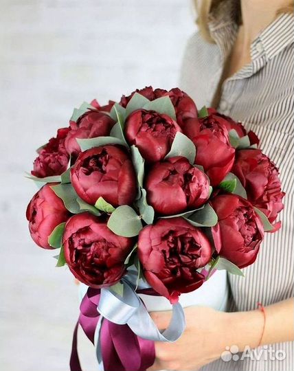 Пионы Букет пионов