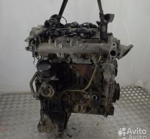 Двигатель Nissan Navara YD25DDTi Б/У
