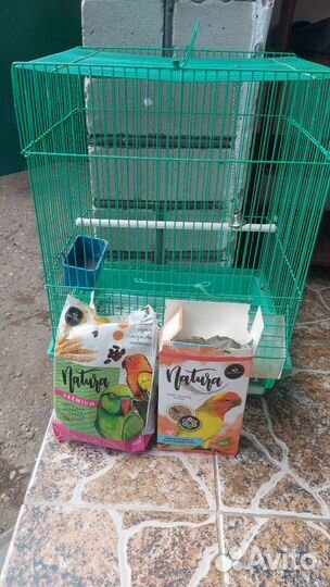 Неразлучник