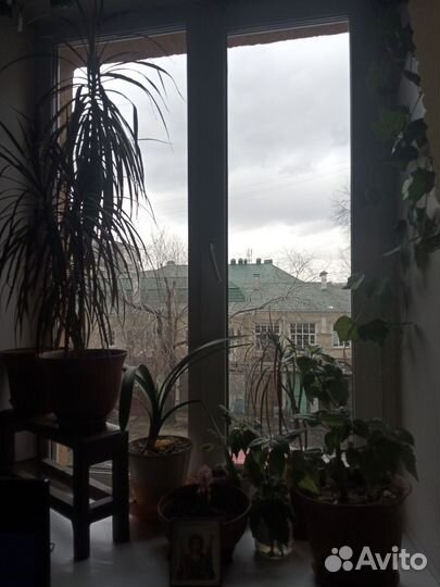 Пора мыть окна