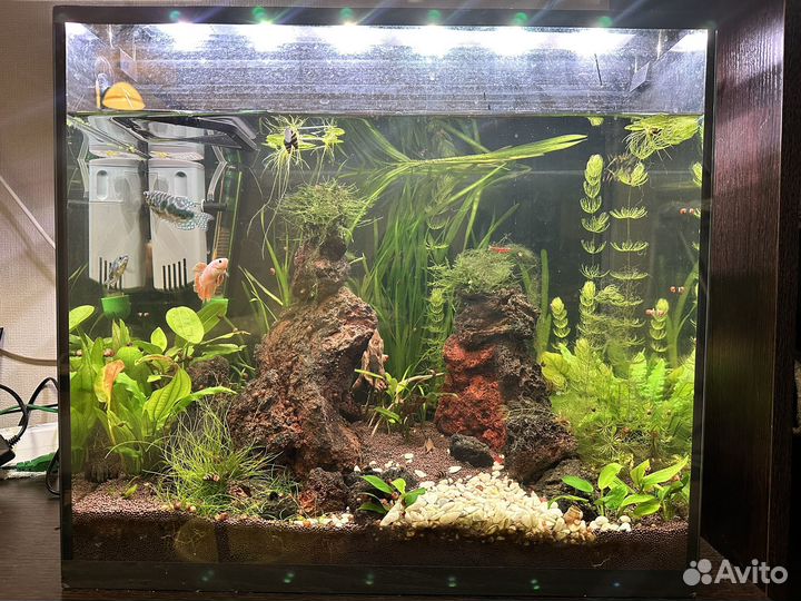 Аквариум
