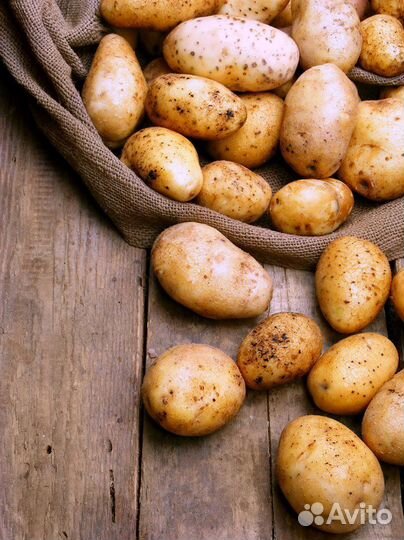 Картошка продажа мешок