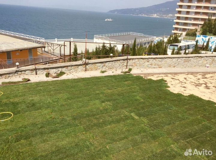 Рулонный газон