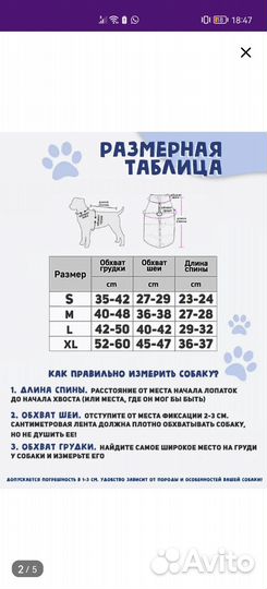Одежда для собак мелких пород