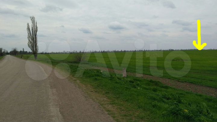 Участок 4,6 га (СНТ, ДНП)
