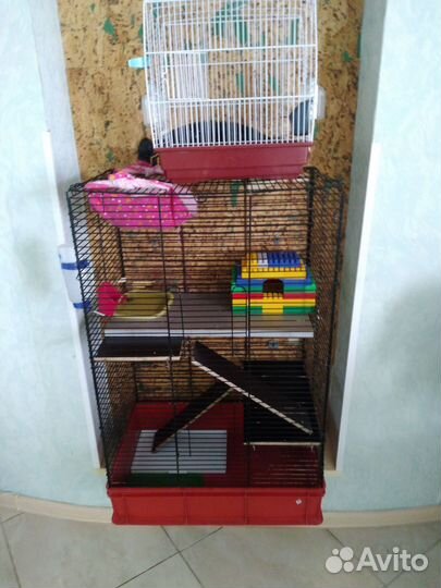 Клетка для грызунов очень большая