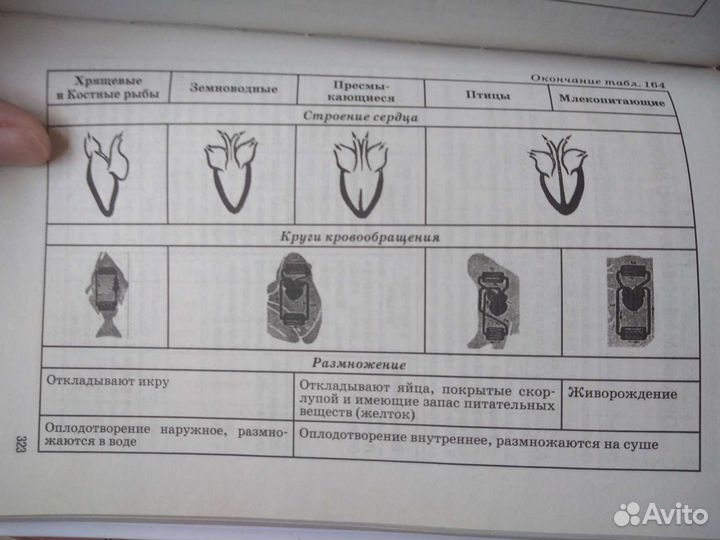 Биология в схемах, таблицах и рисунках для егэ огэ