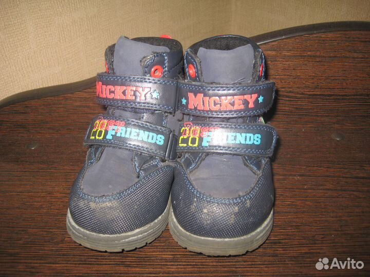 Ботинки демисезонные