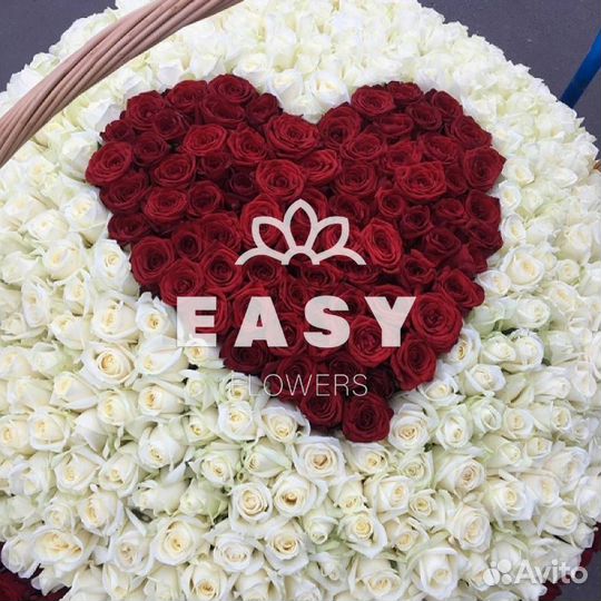 101 роза цветы доставка