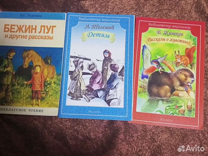 Книги для внеклассного чтения