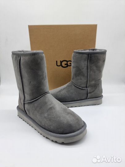 Угги мужские высокие UGG