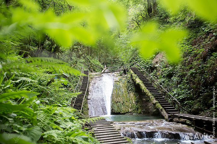 Вечернее Шоу 