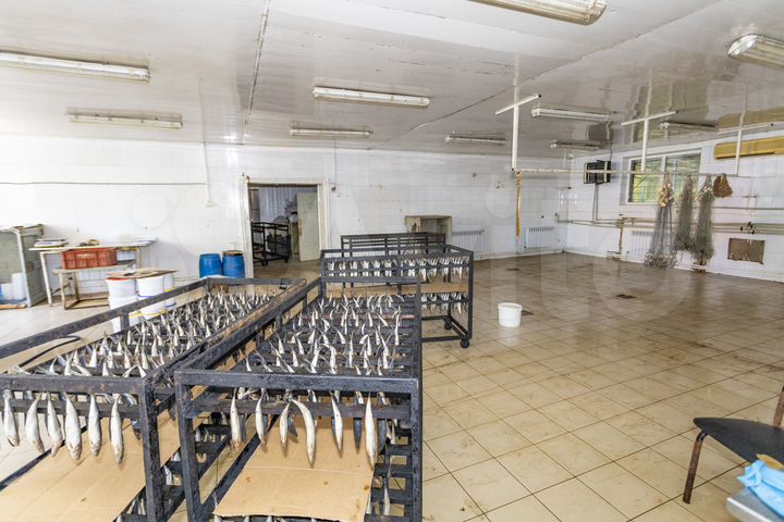 Производство - Рыбзавод, 470 м²