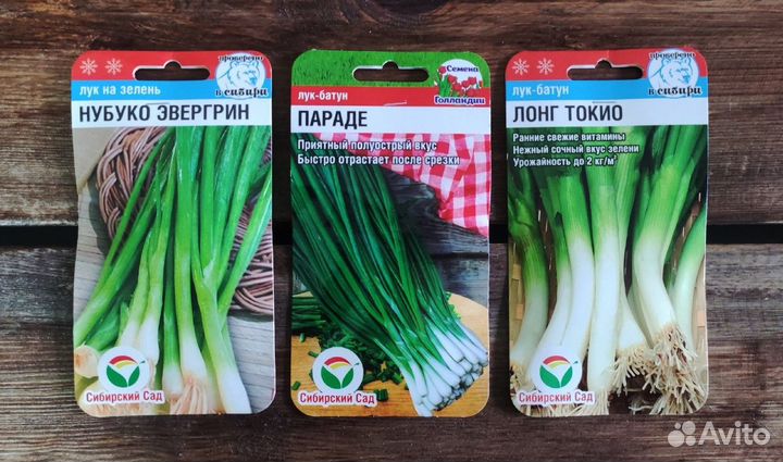 Семена лука